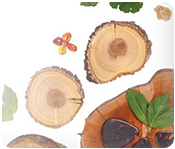 Scentsy Man zu den D&uuml;ften