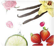 Simply Scentsy zu den D&uuml;ften