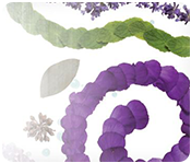 Spa zu den D&uuml;ften