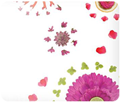 Spring & Summer zu den D&uuml;ften